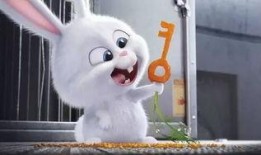 娱乐吃瓜酱兔子视频下载,揭秘热门娱乐瞬间